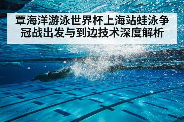 覃海洋游泳世界杯上海站蛙泳争冠战出发与到边技术深度解析 | BBIN